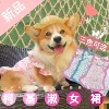 Товары от 小崽子还行