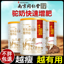 Fatten Probiotics weight gain products lean fast fat conditioning fat protein powder food nutrition lean people long meat