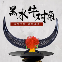 Yunnan natural buffalo horn home furnishings black buffalo horn diagonal decoration feng shui big cow horn office crafts