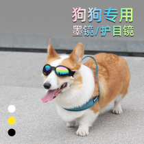 Pet glasses sunglasses dog sunglasses windproof Corgi Dou Teddy model photo props dog goggles