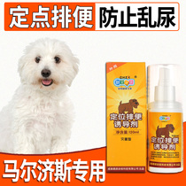 Maltese dog inducer dog defecation guide training toilet artifact pet fixed-point defecation and defecation