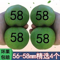 Walnut Wen play green leather hand play play with green skin plate pair of four buildings lion head hand piece extra big official hat