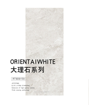 Nobel all-ceramic cast glaze marble tiles simple modern brown gray RT909159