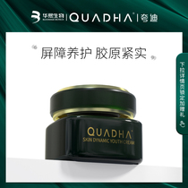 Huaxi bioquadi kinetic energy to support light age cream 50g