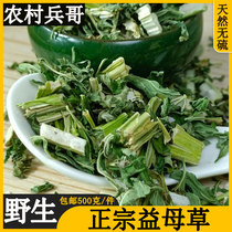  Wild Motherwort tea 500g Chinese herbal medicine fresh dry goods hay water tea drink postpartum foot irregular menstruation