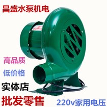 Small blower Household kitchen electric barbecue combustion stove Hotel fan Egg blower