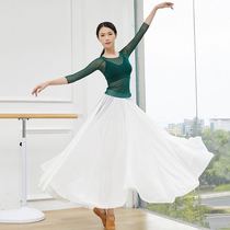 Sexy mesh dress Dance dress Female classical dance Modern dance Ballet practice suit Body suit Gymnastics suit Yoga suit
