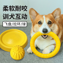 Pet dog toy Frisbee Flying saucer boredom artifact supplies Bite-resistant molar Corgi side animal toy ball Bouncing ball