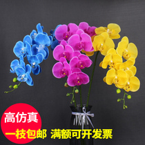 Hui Yixuan PU high simulation butterfly orchid feel fake flower wedding bouquet coffee table bedroom flower decoration single ornaments