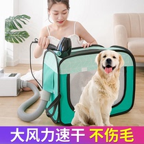 Dog hair dryer hair pulling artifact Quick-drying large and small dogs Household cat pet dryer does not hurt hair blowing machine