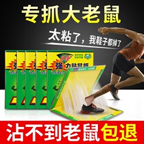 Strong sticky mouse board to catch sticky big mice stickers to catch rats and rats to catch rats super powerful household nemesis