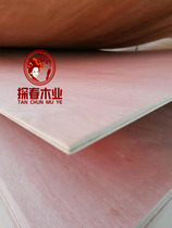 Tanchun 5 7 8 12 15mm secondary molding multi-layer board peach blossom core plywood sanding export packaging board