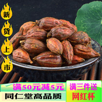 Tong Ren Tang raw materials Chinese herbal medicine fried gardenia 500g selected wild sulfur-free red gardenia yellow branches New fried branches