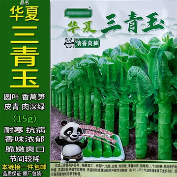 三青莴笋种-三青莴笋种促销价格、三青莴笋种品牌- 淘宝