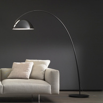 Nordic simple light luxury fishing lamp living room sofa side study minimalist creative Net red tea table vertical floor lamp