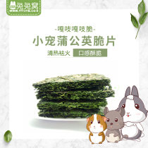 Hand-baked dandelion toast chips dandelion grass crisps rabbit chinchia pig Hay