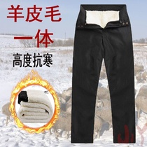 Sheep-cut leather leather pants mens sheep wool one-piece pants wool liner middle-aged high waist thick warm cotton pants
