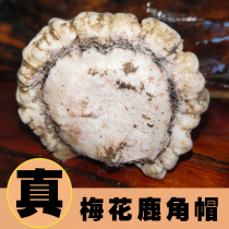 Antler hat powder Northeast Changbai Mountain pure Jilin sika deer 200g a can of conditioning female breast milk