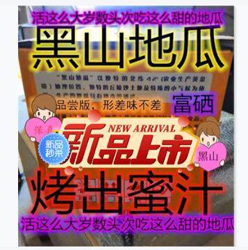 黑山地瓜蜜汁红薯烟薯25尝鲜版五斤包邮单个2两以下好烤地瓜红薯