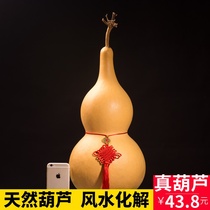 Chinese knot natural text play Feng Shui Extra large gourd with faucet Home pendant ornaments Pingan House wood treasure true gourd