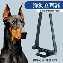 Dog Ear Lieared Despatch dubbyn Dog Universal Dog stand Ear Sticking with fixed orthodontics without injury ear tollholder