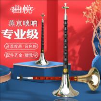 Yanjing Suona musical instrument full set of professional B beginner D tone adult C large medium and small horn send whistle