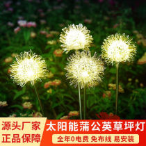 Quiet Light Solar Outdoor Courtyard Lamp Dandelion Luminous Round Table Garden Terrace Garden Decorated Villa Arrangement Ground Insert Grass