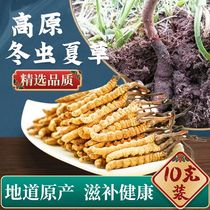 Cordyceps sinensis dry carp 4 1 gram 10g head futures Qinghai Tibet Naqu gift box