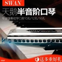 Swan harmonic harmonica swk1040 professional performance children beginner student Adult Male 12 hole 16 professional