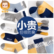 Hengyuanxiang childrens socks cotton spring and autumn antibacterial and deodorant stockings boys summer cotton soft thin midsize children