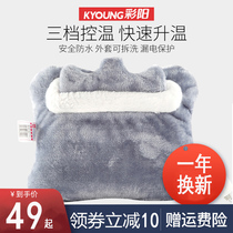 Caiyang electric hot pad pillow multi-functional cute big warm hand treasure warm foot treasure detachable and washable plush plug-in 8010