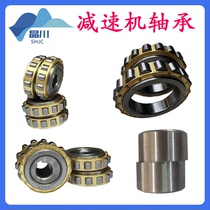 Cycloid pin wheel reducer accessories eccentric sleeve eccentric bearing cylindrical roller bearing RN206 205 307