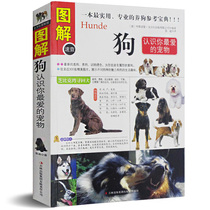  Illustrated dog books Dog training tutorials Dog skin diseases Common diseases Dog deworming Daily care Teddy shepherd Husky Poodle Pet dog maintenance books Dog(know the pet you love)Raising a dog into