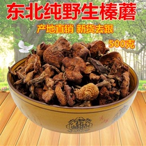 Northeast Terrific wild hazelnut mushroom Dry stock 500g Chicken Stew mushrooms Changbai Mountain Oyster Mushroom non-Teigen No root New stock