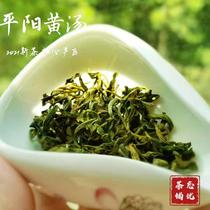 2021 New Tea Pingyang Yellow Soup Wenzhou Yellow Soup Yellow Tea Yellow Tea 5G 50g 50g