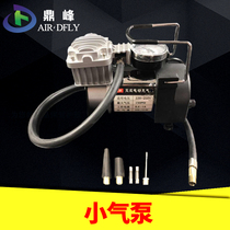 Dingfeng 220V household AC electric air pump air compressor 550W8L gas column bag coil bubble bag