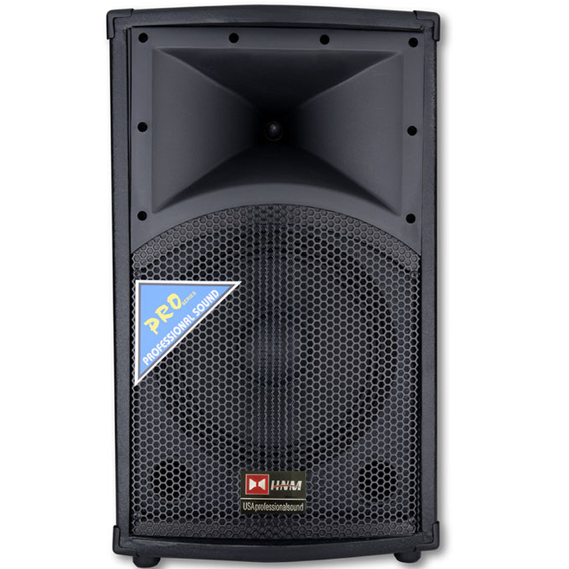 HNM PSB-51501 15-inch conference stage KTV compartment audio box stage speaker
