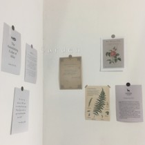 Garden retro made of old English paper flowers and birds sheet of paper book page photo background decoration Photographic display props