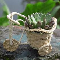 4 yuan to deal with mini tricycle rattan flower basket-Vine basket decoration flower basket-small basket-flower basket