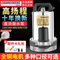 Shanghai Peoples 12V24V48V60V72V DC submersible pump pump household agricultural Brush Electric Car 2 inch