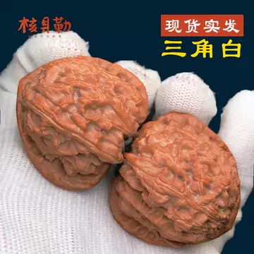 三角白狮子核桃-三角白狮子核桃促销价格、三角白狮子核桃品牌- 淘宝