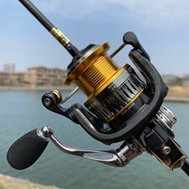 Tail Zaki Tong Body Pure Carbon 9 Shaft Spinning Wheel 20-35 Type Super Shallow Deep Cup Light Sea Micro-Object Roll Line Fish Wire Wheel