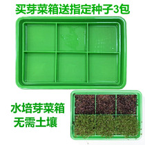  Whole Food Diary Hydroponic sprout box Sprout cultivation box Purple cabbage Blue and white coconut seedlings Broccoli seeds seedlings