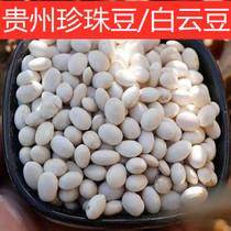 Guizhou Qianxi specialty small white cloud bean cypress bean white poplar bean rice white kidney bean rice small white bean pearl bean 1kg