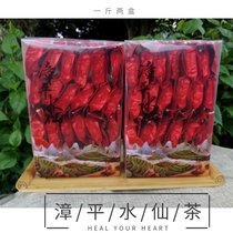 13 years old shop Jinlong pot Zhangping daffodil tea Luzhou flavor handmade tea Alpine Oolong tea 500g