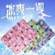 Pets Ice Mat Summer Cool Cat Mat Mat Mat Mat Mat BITE Dog cushions Sleeping Sleeping Sleeping Mat Dog Supplies