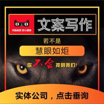 Copywriting brand story Company Profile team introduction team Product Introduction planning Enterprise manual folding design