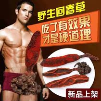 Wild rejuvenating grass Top Tianzhu Yunnan evergreen grass for men with Lockyang cistanche soaked in wine