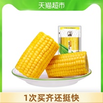 (Open bag ready-to-eat)Northeast agricultural sister-in-law fruit sweet corn section 100g*1 bag fresh corn section full belly meal replacement tender and sweet