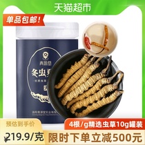 Cordyceps Sinensis dry goods selected 4 grams 10g pack non-Tibetan Naqu wild high altitude cordyceps gift box
